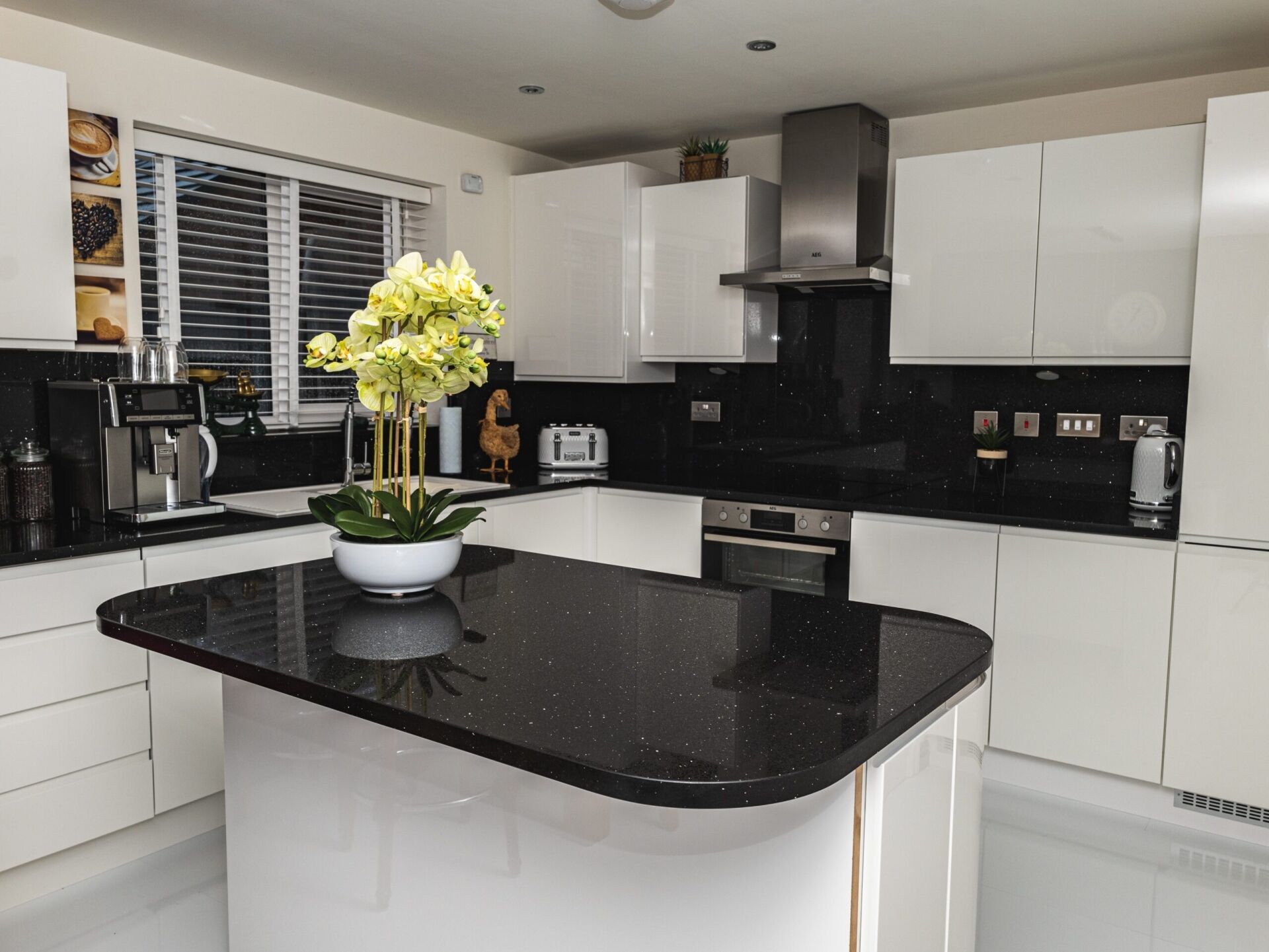 Wide kitchen view featuring a Black Starlight Quartz island with a curved end and subtle sparkle finish