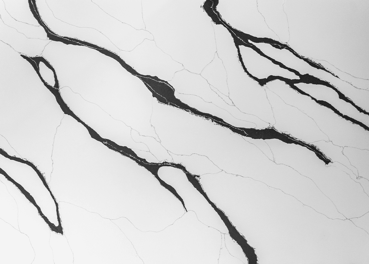 Black Calacatta Quartz surface detail showing bold branching black veining across a crisp white marble-effect finish